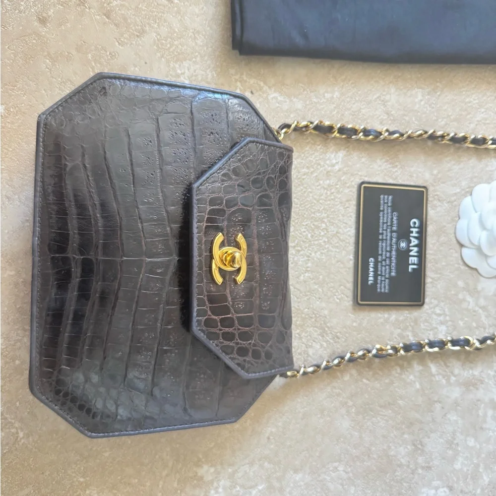 Chanel crocodile brown stunning bag - Picture 12 of 14